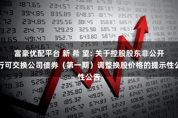 富豪优配平台 新 希 望: 关于控股股东非公开发行可交换公司债券（第一期）调整换股价格的提示性公告