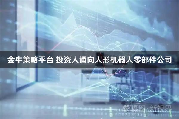 金牛策略平台 投资人涌向人形机器人零部件公司