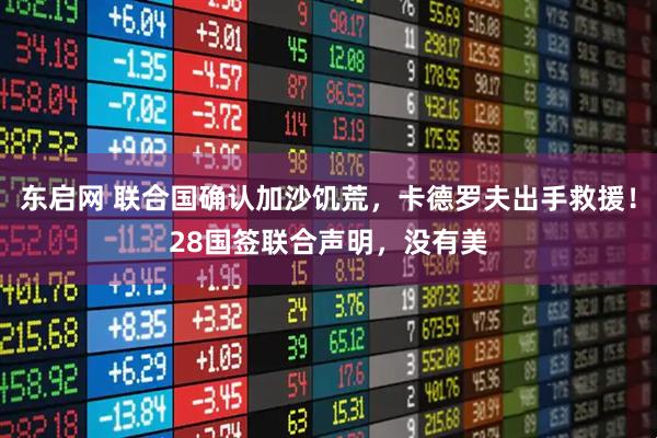 东启网 联合国确认加沙饥荒，卡德罗夫出手救援！28国签联合声明，没有美